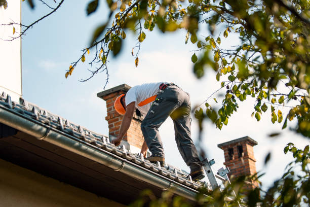 Best Metal Roofing Contractor  in Burkburnett, TX