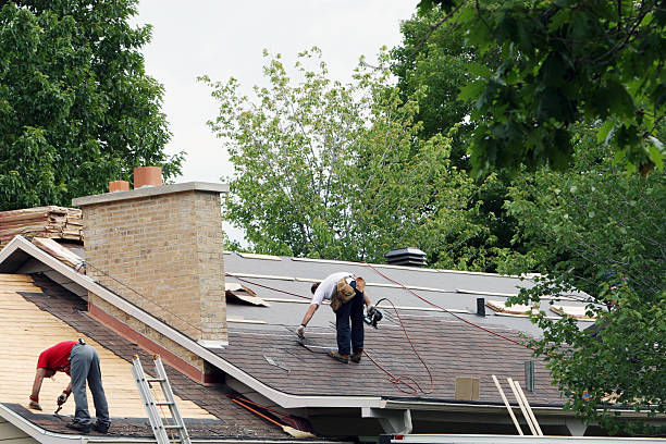 Best Roof Gutter Cleaning  in Burkburnett, TX